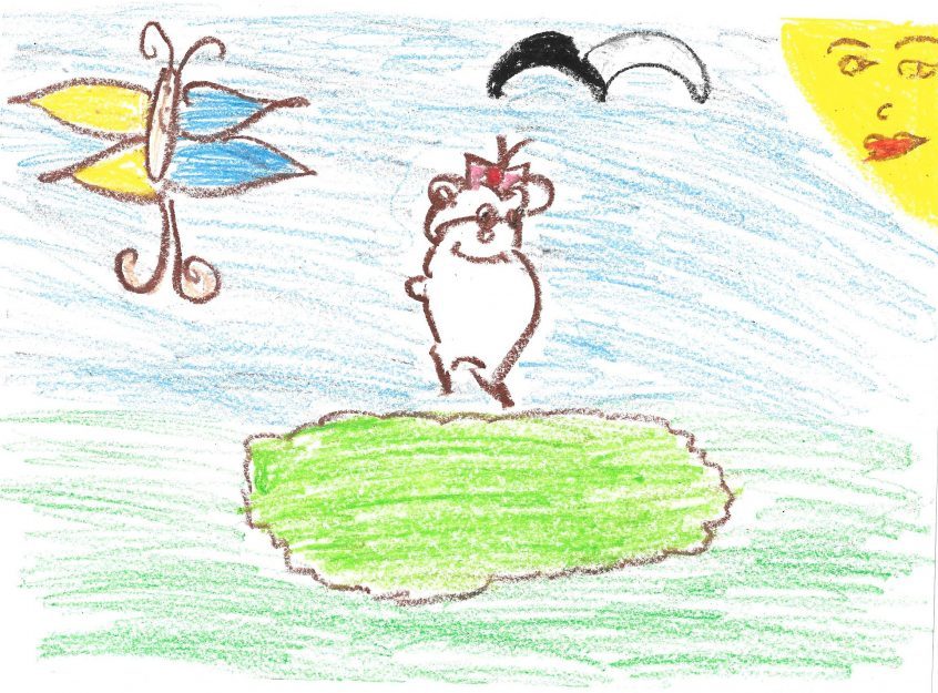 Kelebek güneş ve renkler