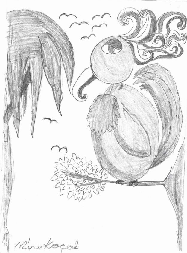 Evden kaçan papağanın hikayesi